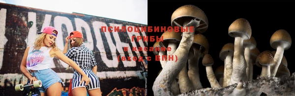 крисы Медвежьегорск