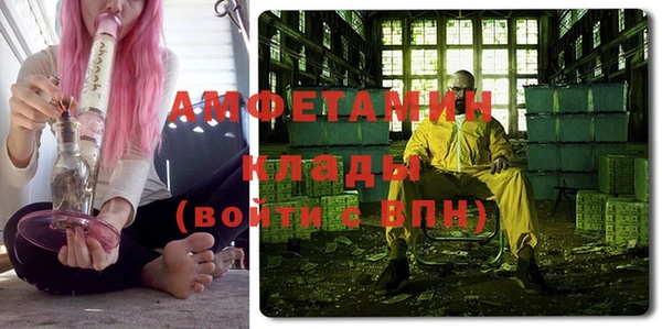 крисы Медвежьегорск