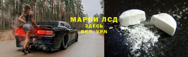 крисы Медвежьегорск