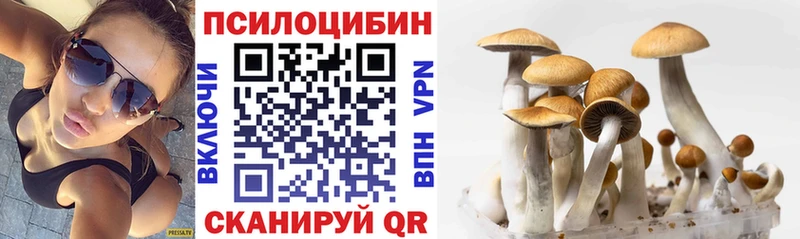 как найти закладки  Шелехов  это как зайти  Галлюциногенные грибы Psilocybine cubensis 